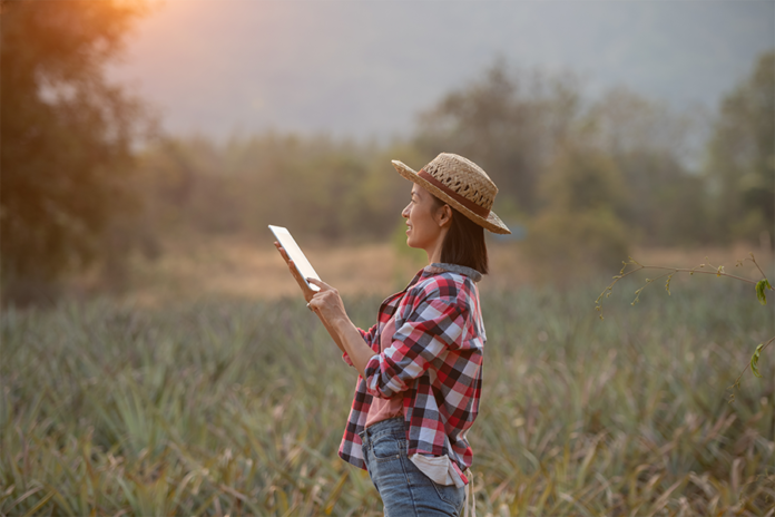 mujer con ipad en un campo de trigo